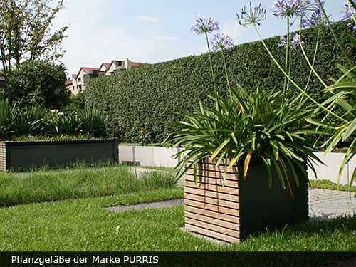 Bepflanzung, Garten, Gartenbepflanzung